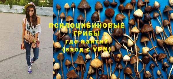 хмурый Ладушкин