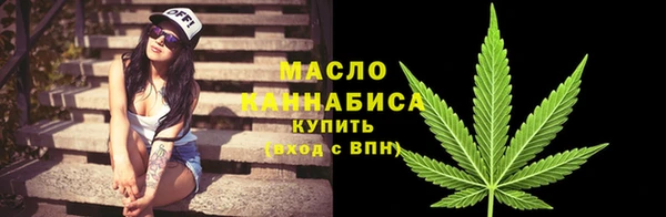 хмурый Ладушкин