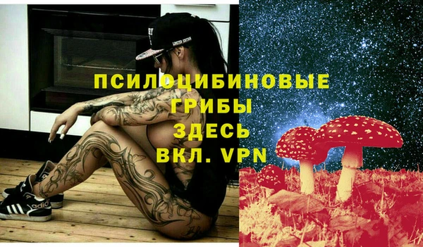 таблы Лабытнанги