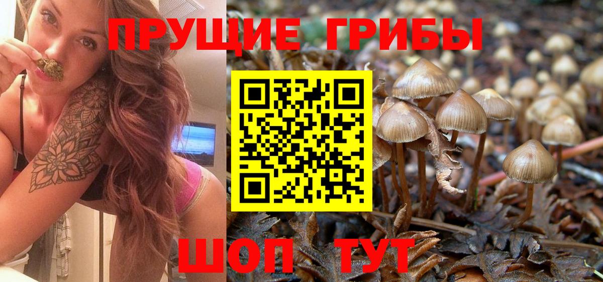 Псилоцибиновые грибы мицелий Янаул