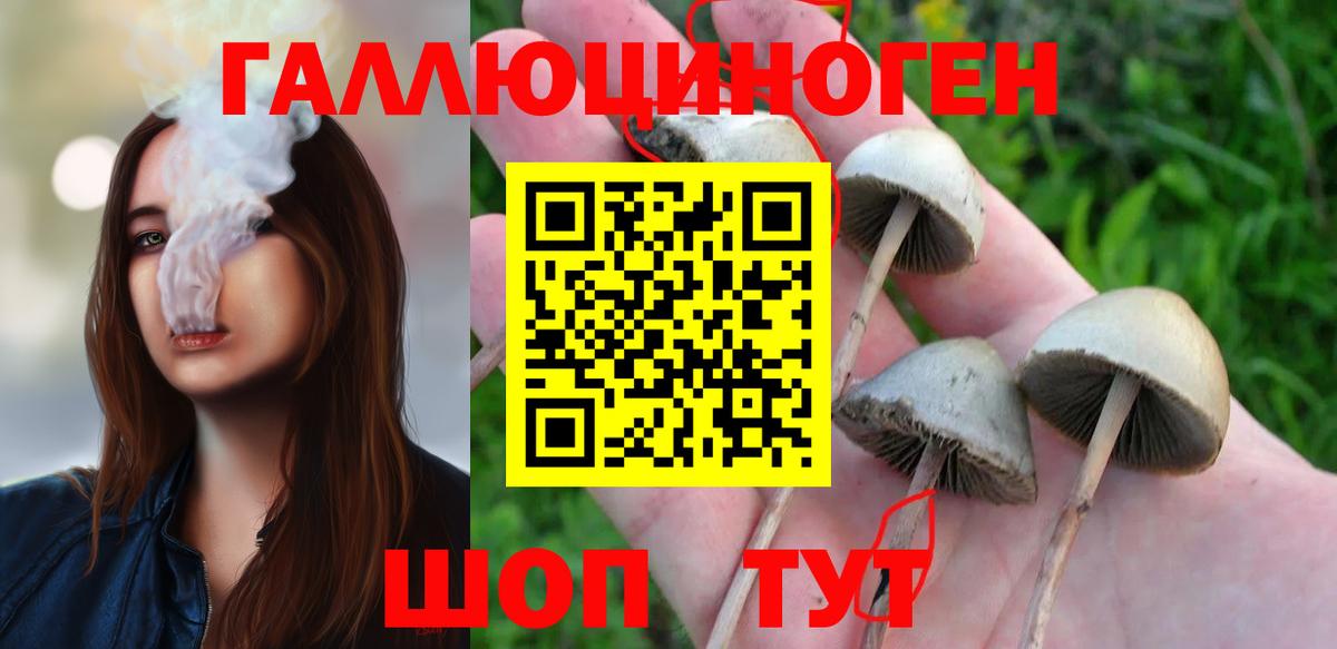 Янаул  Псилоцибиновые грибы GOLDEN TEACHER  Вход с VPN 